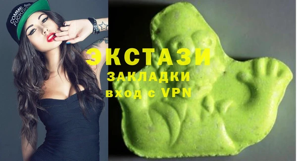 хмурый Абаза