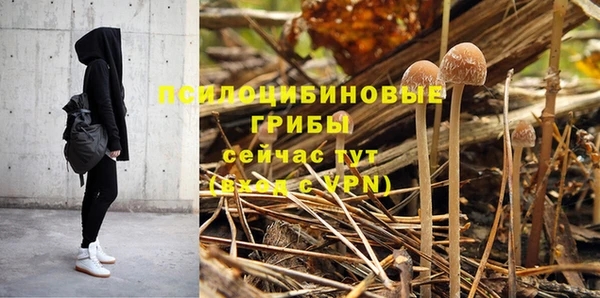 тгк Чекалин