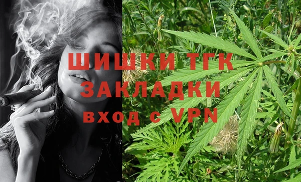 хмурый Абаза