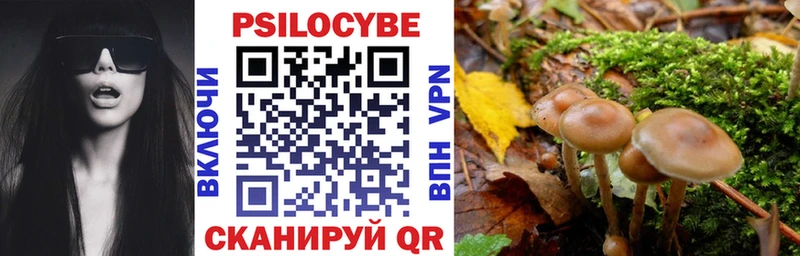 Галлюциногенные грибы GOLDEN TEACHER  Александровск 